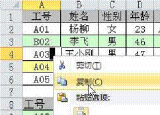 image007.gif